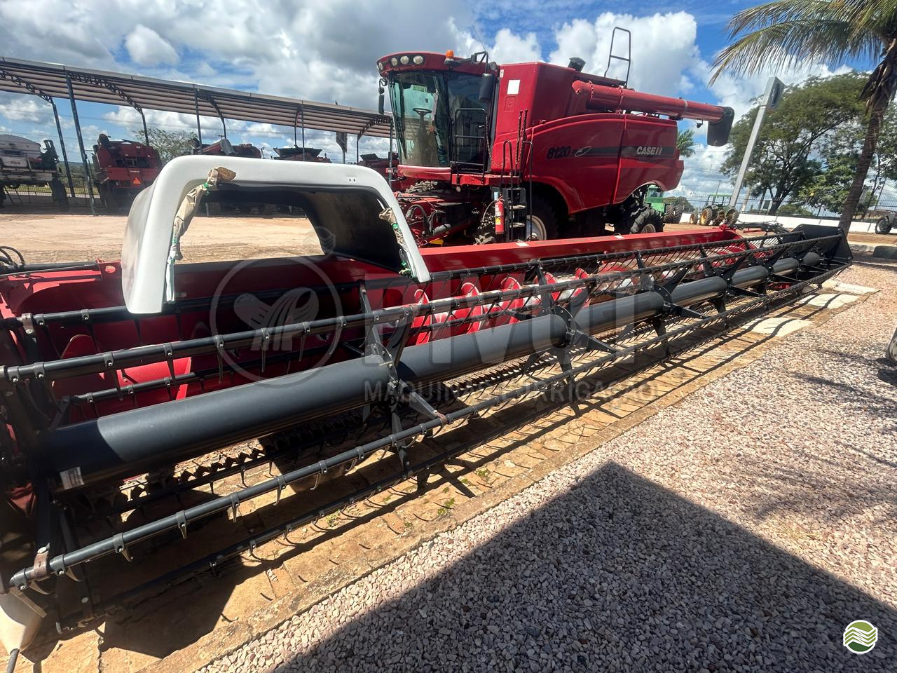 PLATAFORMA COLHEITADEIRA CASE TERRAFLEX 3020 Pivot Máquinas - Case  GOIANIA GOIAS GO